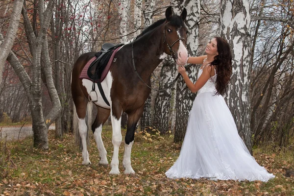 Молодая женщина и лошадь — стоковое фото