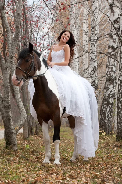 若い女性および馬 — ストック写真