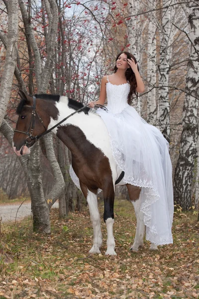 Młoda kobieta i koń — Zdjęcie stockowe