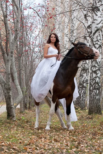 stock image Young Woman And Horse