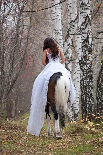 युवा महिला आणि घोडा — स्टॉक फोटो, इमेज