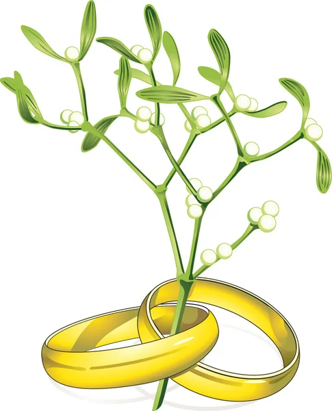 Anéis de casamento azevinho —  Vetores de Stock