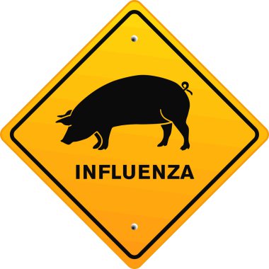 Pig influenza clipart