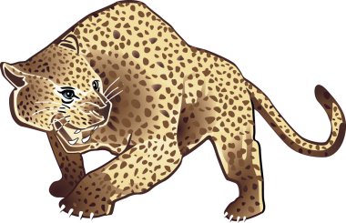 leopar