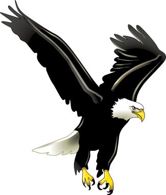 Flying eagel clipart