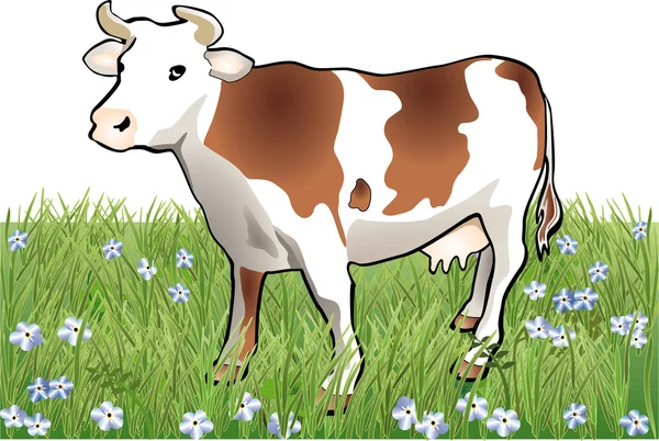 Vaca. — Archivo Imágenes Vectoriales
