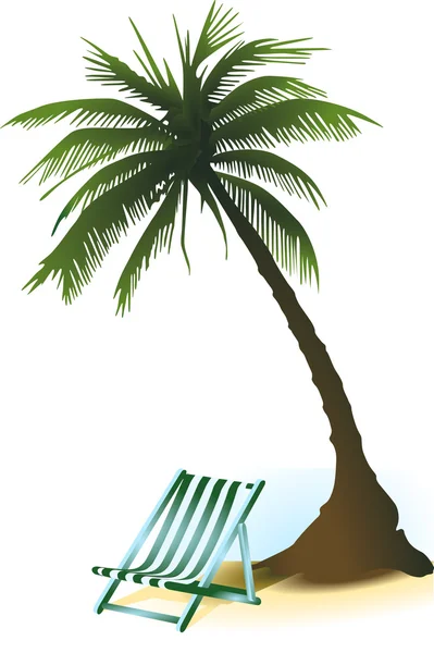 棕榈 — 图库矢量图片