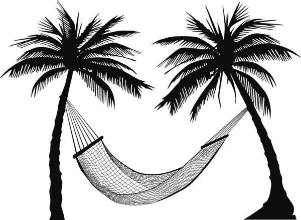 Palm függőágy — Stock Vector
