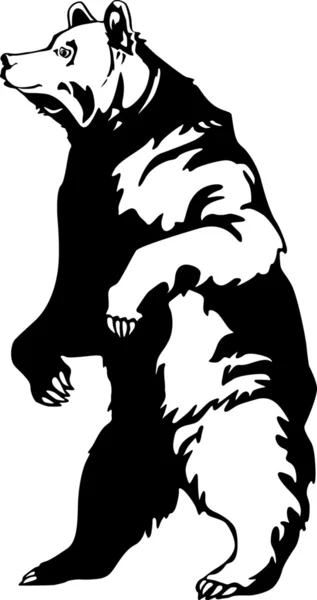 灰熊 — 图库矢量图片