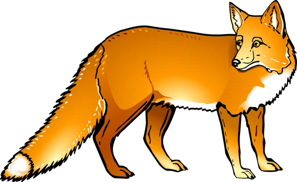 狐狸 — 图库矢量图片