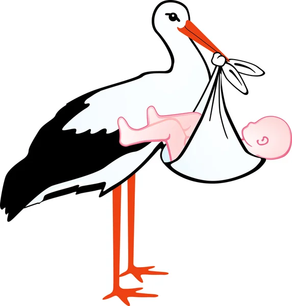 Stork with baby — Stock Vector