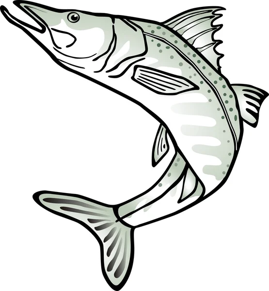 Рыба — стоковый вектор
