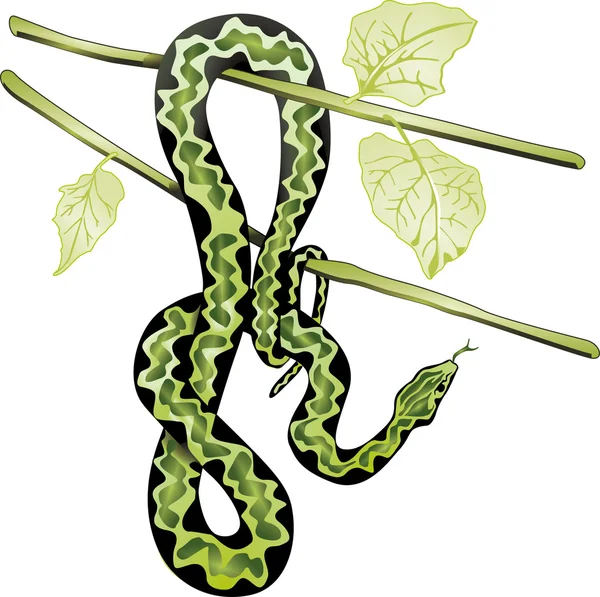 Змея на дереве — стоковый вектор