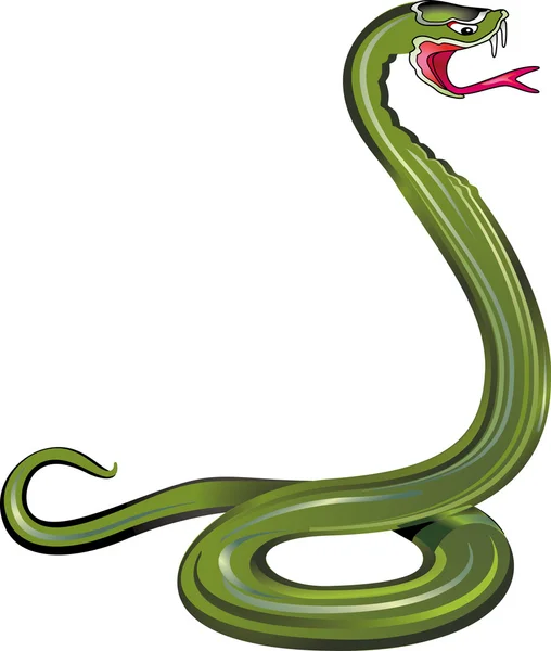 Kígyó — Stock Vector