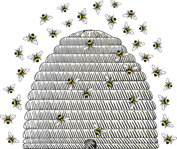 Bienenstock — Stockvektor