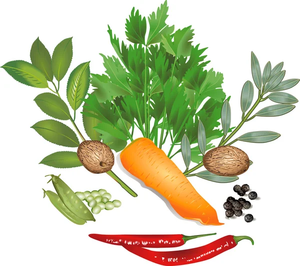Visage végétal — Image vectorielle