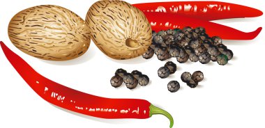 Küçük Hindistan cevizi