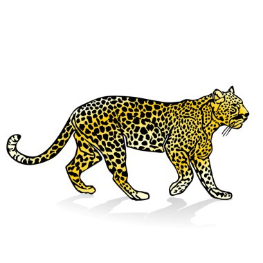 Leopard clipart