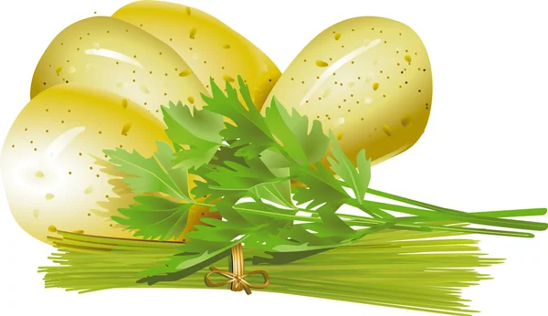 Petersilienkartoffeln Schnittlauch — Stockvektor