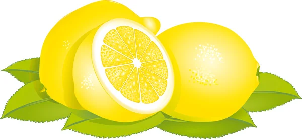 Lemon - Stok Vektor