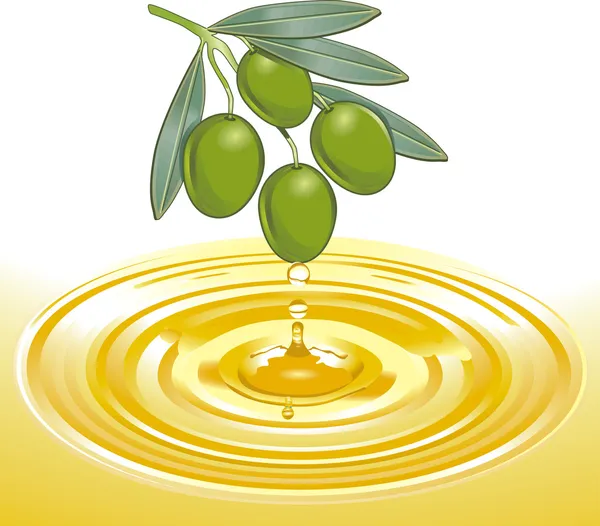 Estrazione di olio d'oliva — Vettoriale Stock