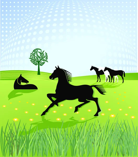 Horses paddock — Stock Vector