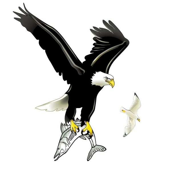 Eagle en vis — Stockvector