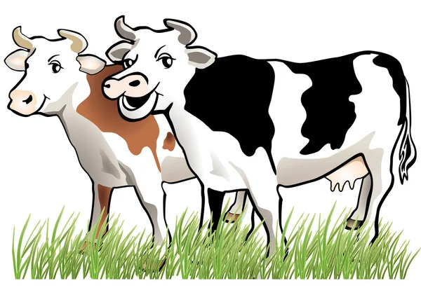 2 happy cows — Stock Vector