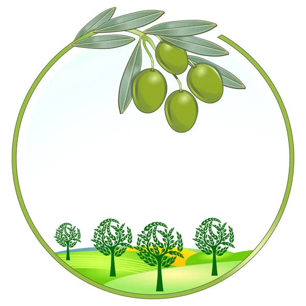 Olives paysage unique — Image vectorielle