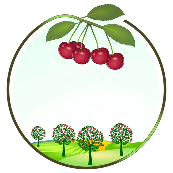 Cultivo de cereza — Vector de stock