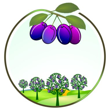 Plum cultivation clipart