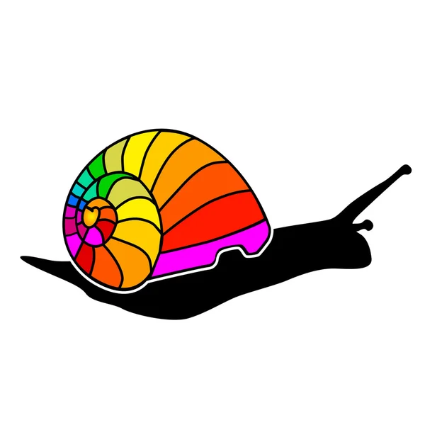 Color snail — Stock Vector