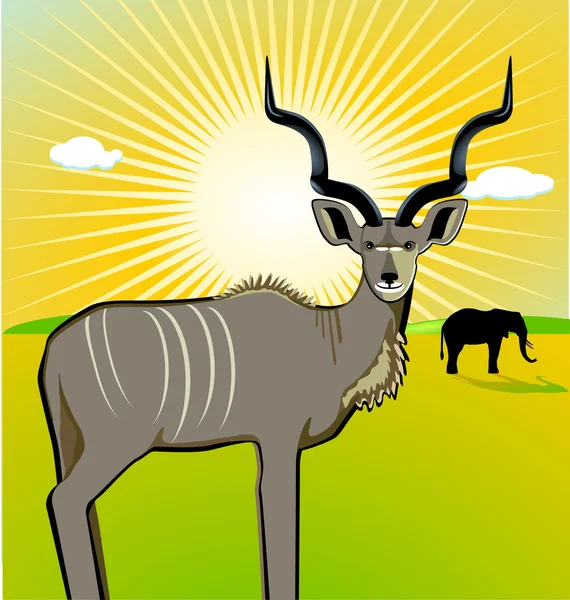 Egy férfi Kudu — Stock Vector