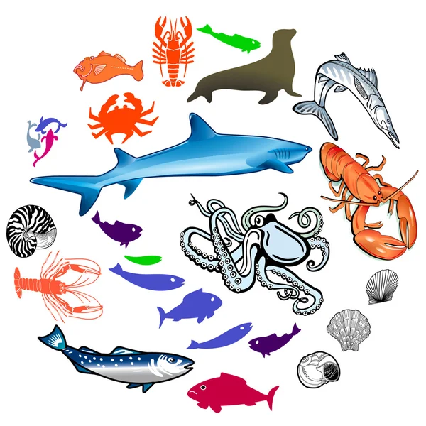 Animais marinhos —  Vetores de Stock