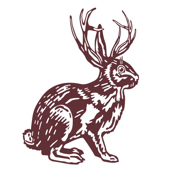 Rabbit with deer antler — Stock Vector
