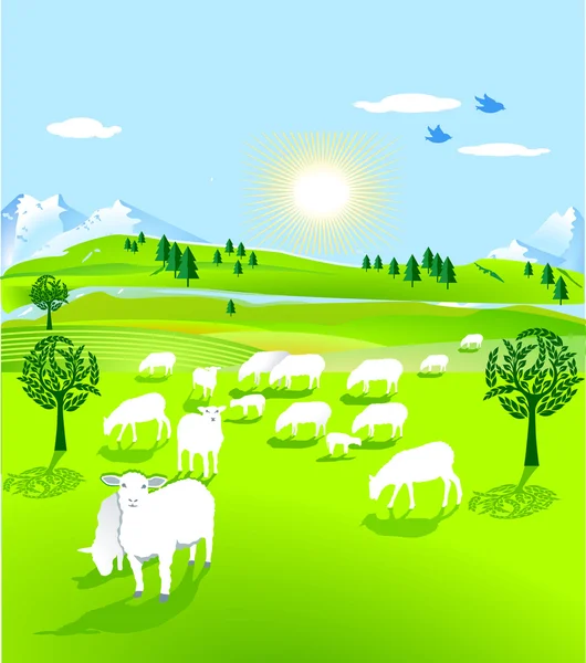 Troupeau de moutons — Image vectorielle