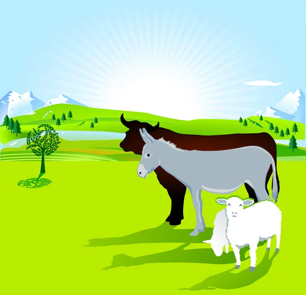 ロバと雄牛と子羊 — ストックベクタ