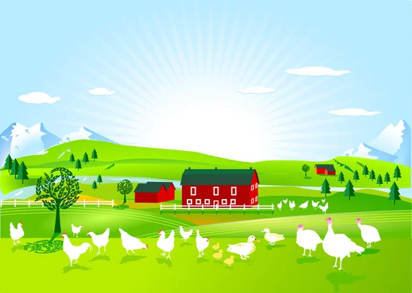 Poultry farm — Stock Vector