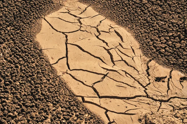 건조 한 토양 — 스톡 사진