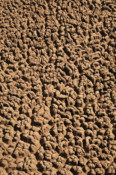 Arid Soil — Stock Photo, Image