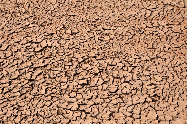 Arid Soil — Stock Photo, Image