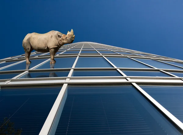 Rhino standung på skyskrapa windows — Stockfoto