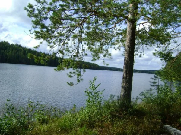 Nature in Karelia — Stock Photo, Image