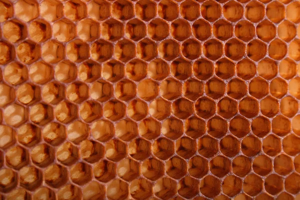 Honung bakgrund — Stockfoto