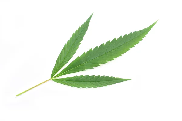 Marihuana-Hintergrund — Stockfoto
