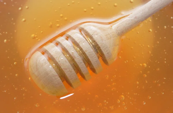 꿀 배경 — 스톡 사진