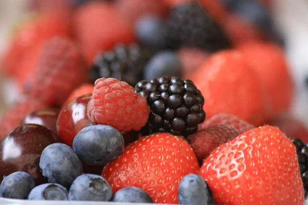 stock image Forest fruits