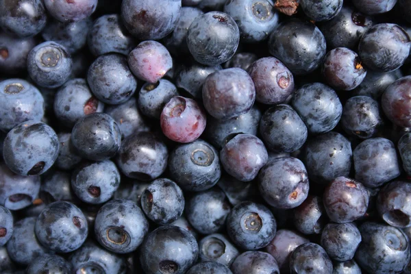 Stock image Blueberries background