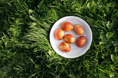 Renkli Paskalya yumurtaları