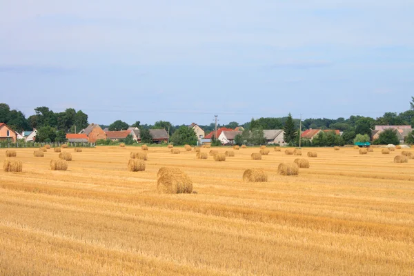 Stock image Czech country